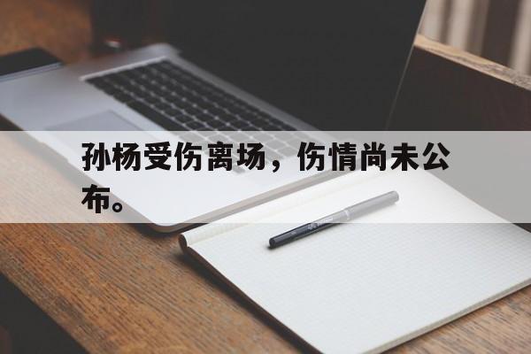 开云网页-孙杨受伤离场,伤情尚未公布。